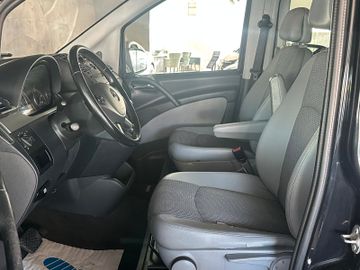 Mercedes Viano - 7