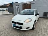 Fiat Punto 1.2. 8V Active Start&Stop - Fiat Punto Start mit Benzin-Antrieb