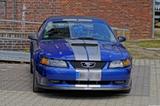 Ford Mustang GT - Ford Mustang in Hagen