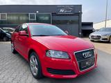 Audi A3 1.6 Attraction KLIMAAUT./PDC/17"/TÜV.27 - Audi A3: Sportwagen