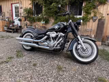 Yamaha Wild Star XV 1600 , gepflegt, neuer TÜV,  - MOTORRAD AUS DEM JAHR 1999