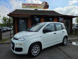 Fiat Panda Easy*1.HAND*LPG*TÜV 10.26*KLIMA*MFL*SH*TFL - Fiat Panda aus 2018
