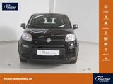 Fiat Panda 1.0 GSE Hybrid - gebrauchte Fiat Panda aus dem Jahr 2024