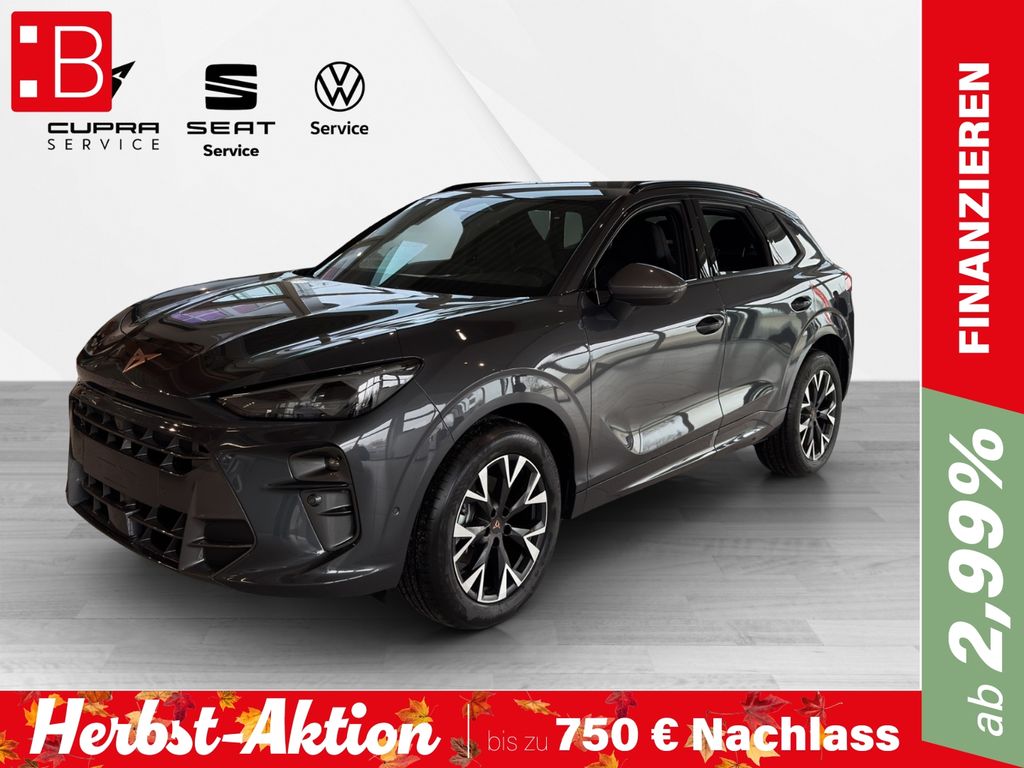 Terramar 1.5 eTSI DSG ab 345,- EUR mtl. 1000 € A