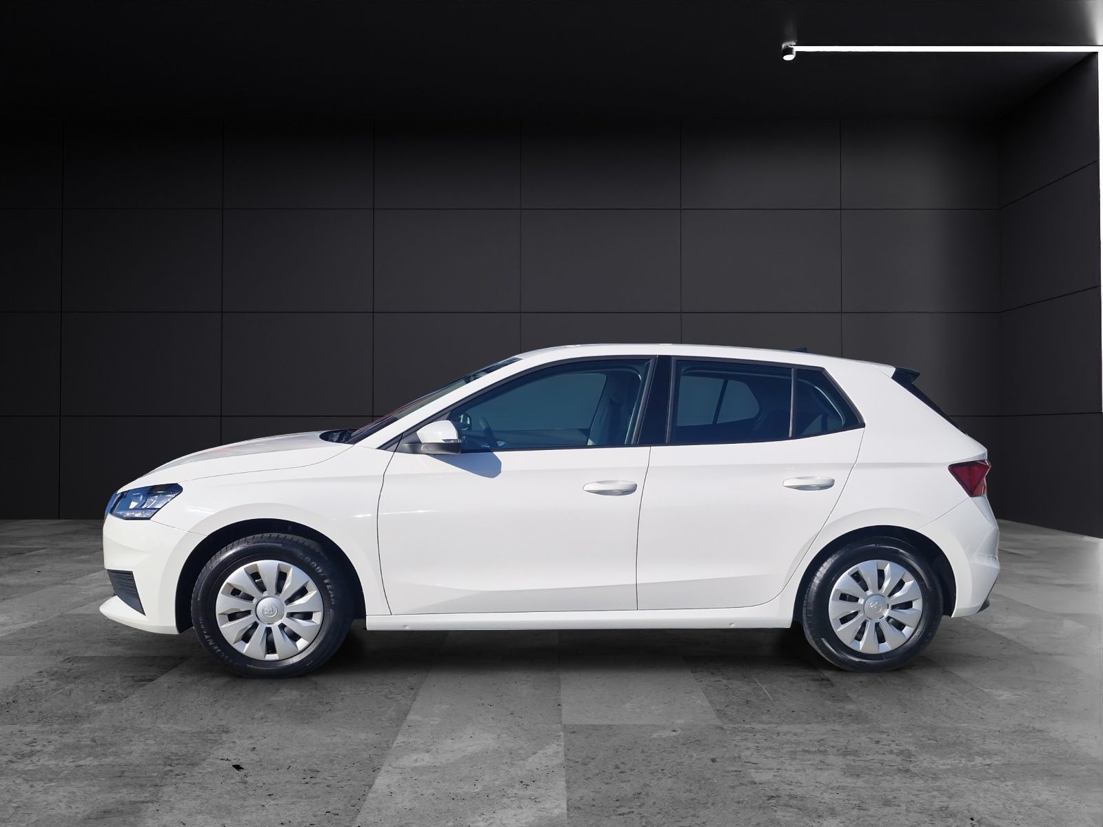 Fahrzeugabbildung SKODA Fabia Active 1.0 LED SH