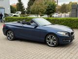 BMW 220 i Cabrio Sport Line Auto. *Vollleder *Navi