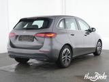 Mercedes-Benz B 250 4M Progressive/Adv+/Pano/Bur/Standh./AHKSH - Mercedes-Benz B 250 aus 2024