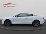 Audi S5 Cabriolet 3.0 TFSI quattro - Audi: Weiß, Cabrio