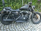 Harley-Davidson Sportster XL 883 N Iron