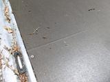 Humbaur HT203116 - Angebote entsprechen deinen Suchkriterien