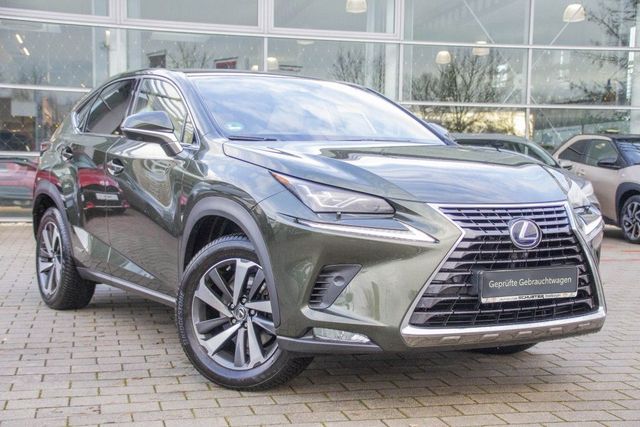 Lexus NX 300h E-FOUR Luxury Line