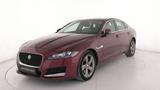Jaguar XF 2.0d Pure Business edition 180cv - Jaguar XF: Edition