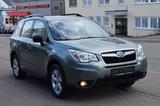 Subaru Forester 4x4 Active Kamera AHK - Subaru Forester: Grün