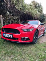 Ford Mustang 5.0 Ti-VCT V8 GT Auto GT Top!