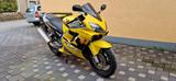 Honda Cbr 600 PC 35