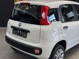 Fiat Panda Easy*Twinair Natural Power Easy*Benzin/GAS - Fiat Panda in Leverkusen
