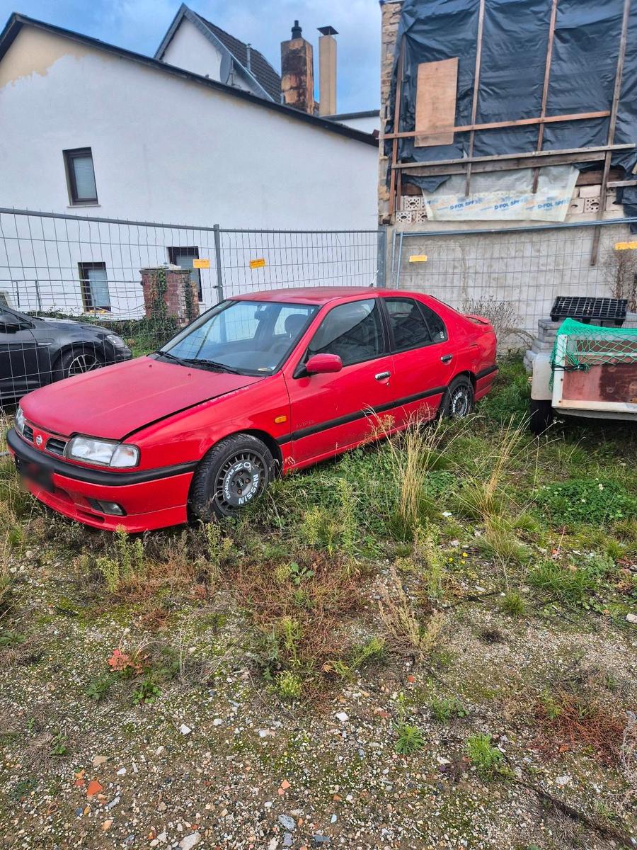 Nissan Primera
