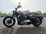 Harley-Davidson FXBB Softail Street Bob 117 sofort verfügbar - NEU CHOPPER