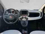 Fiat Panda 4x40 Jahre Edition - Allrad 0.9 Twin Air - Fiat Panda: Kombi