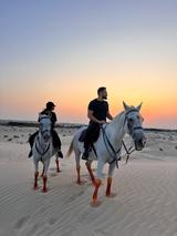 Ferrari F355 Berlinetta Berlinetta  - gebrauchte Ferrari F355 aus dem Jahr 1995