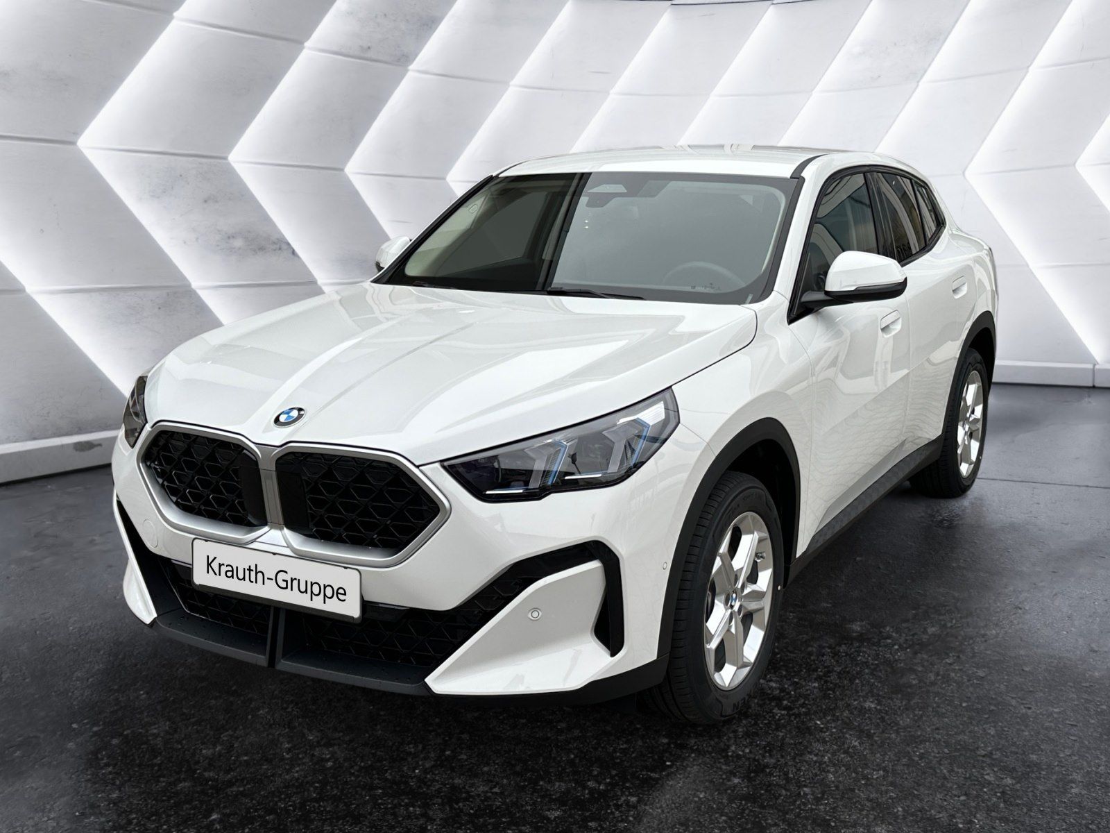 BMW X2 sDrive20i DAB LED Komfortzg. Parkassistent foto 1
