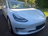 Tesla Model 3 LR DUAL AWD 1.Hd+AP3-20Zoll+Weiß/Weiß