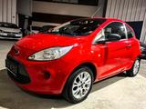 Ford Ka Ambiente Zahnriemen+Wp neu - Ford Ka/Ka+: Ambiente