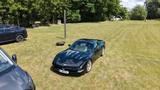 Corvette C5 5.7 Coupé 50th Anniversary Autom. 50th An... - Corvette Gebrauchtwagen mit Automatikschaltung