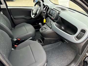 Bild 13 Fiat Panda Base 1.0 Mild Hybrid DAB Klima Freisprech