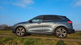 Ford Kuga 1.5 EcoBoost ST-Line X 