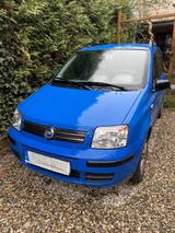 Fiat Panda - Fiat Panda in Freiburg