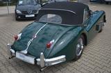 Jaguar XK 140 DHC - 1-a-gepflegt - nur 11 tsd km  - Jaguar XK aus 1955