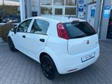 Fiat Punto 1.3  JTD  KLIMA / Kupplung Neu - Fiat Punto mit Diesel-Antrieb: 1.3