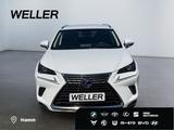 Lexus NX 300h E-FOUR Business Line *LED*ACC*Navi*CAM*S - Lexus: Nx