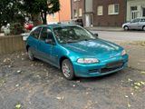 Honda EG3 Benziner - Honda Civic: Eg3