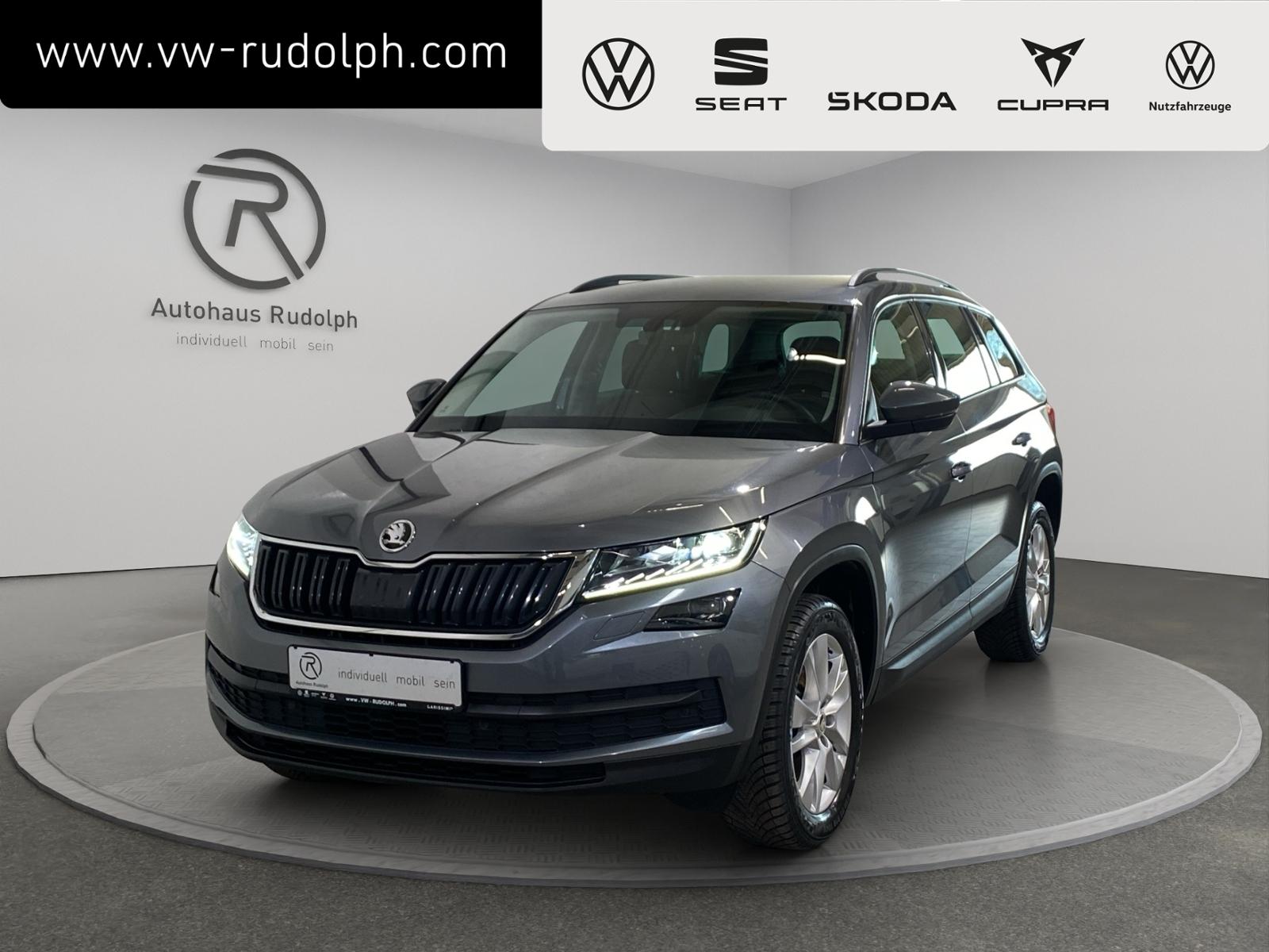 Skoda Kodiaq 2.0 TSI 4x4 DSG Ambition / Navi RFK
