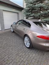Jaguar XF 30d 300PS Portfolio Automatik Portfolio - Jaguar XF: Portfolio