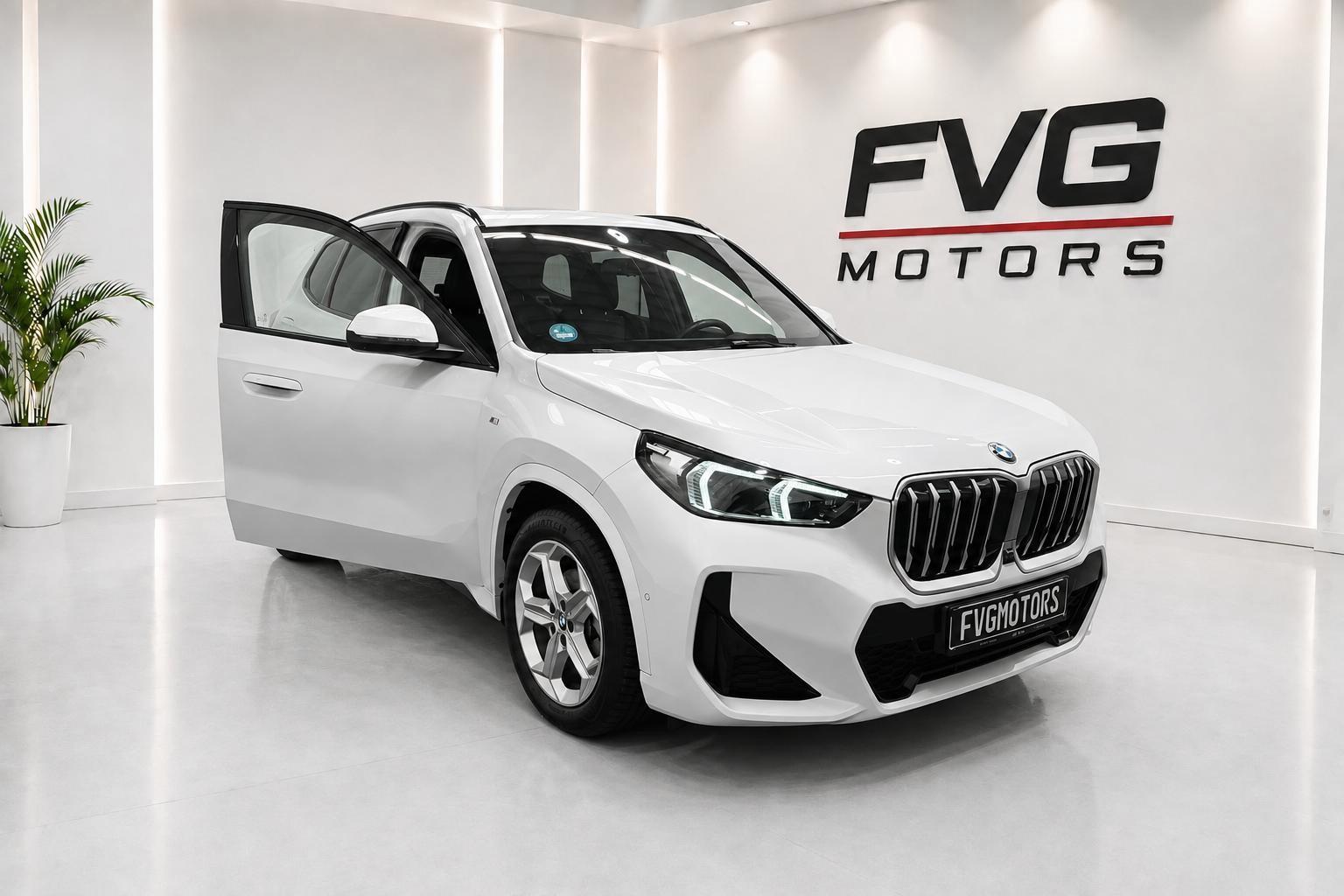BMW X1 20 d xDrive M Sport Kamera 360