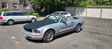 Ford Mustang - gebrauchte Ford Mustang aus dem Jahr 2005