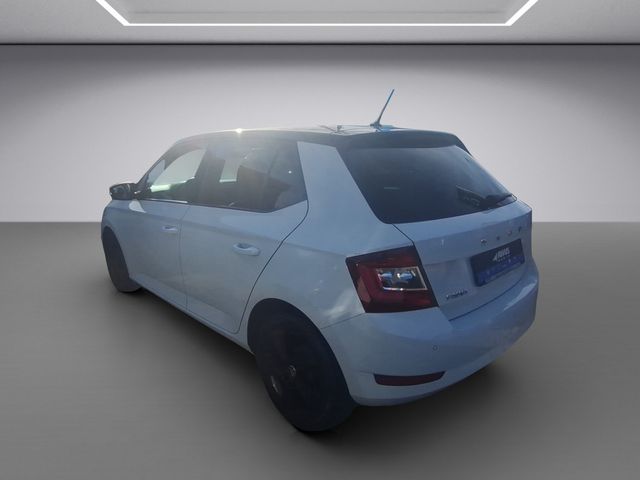 Fabia Style 1.0 TSI DAB+, Klimaautomatik, PDC