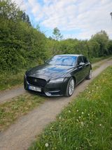 Jaguar XF 30d 300PS R-Sport Automatik R-Sport - Jaguar XF aus 2017