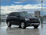 Mercedes-Benz ML 250 BlueTEC 4MATIC - AMG Paket / Soft Close