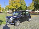 Rover Mini  MK II Top Zustand - Rover aus 1994