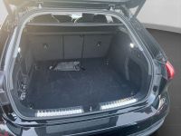Audi A5 - Vorschau Bild 14