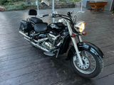Suzuki VL 800 Intruder LC Volusia - Offers matching your search criteria