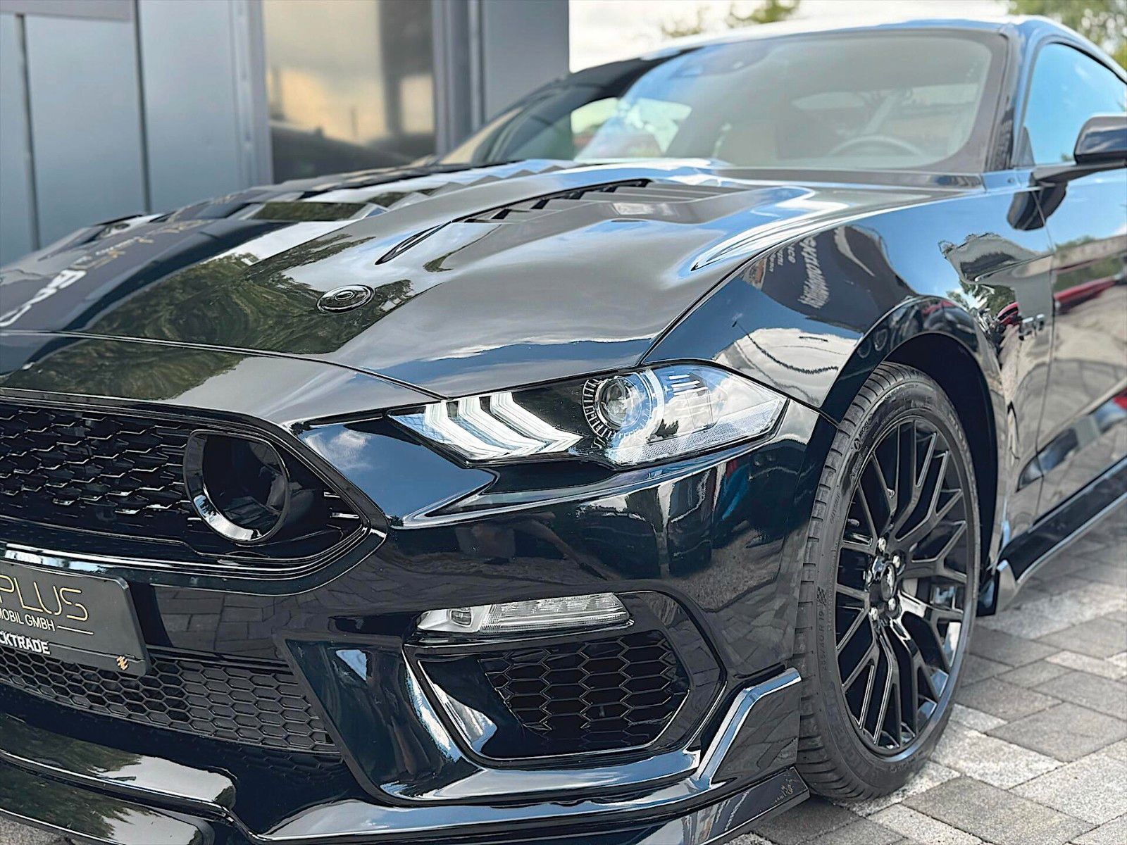Fahrzeugabbildung Ford Mustang Shelby GT 5.0 V8 Performance Premium