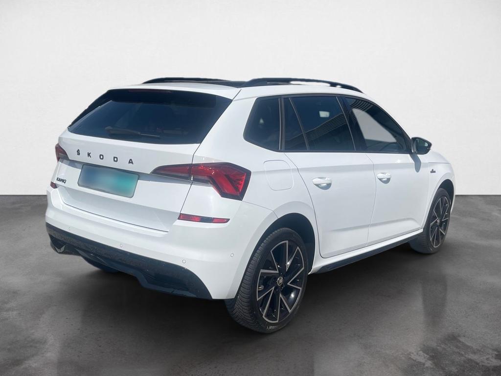 Skoda Kamiq 2021 г. Белый, пробег 58462 км