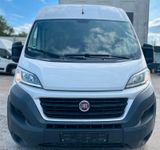 Fiat Ducato Grossr.-Kasten 35 130 L4H2 RS: 4035 TüV - Fiat Ducato l4h3