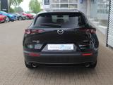 Mazda CX-30 M-Hybrid X-180 AWD AT Selection LEDER DES  - Mazda Gebrauchtwagen von 2020