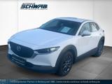 Mazda CX-30 L SKYACTIV-G 2.0 122PS 6GS Basis Mazda CX- - Mazda: Mazda2